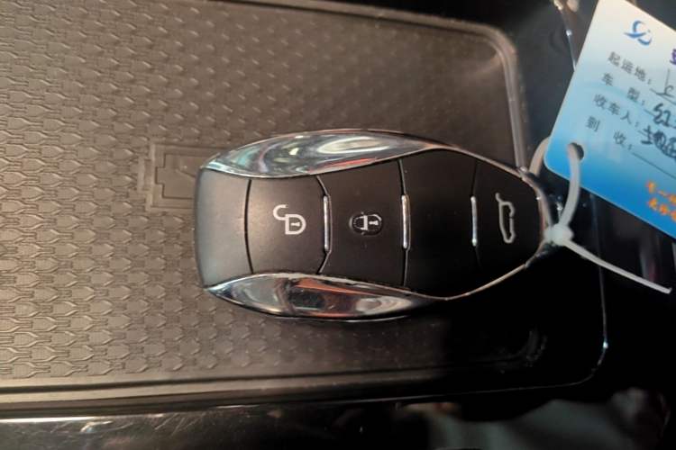 Used Hongqi HQ9 2023 2.0T Smart Connect Flagship Edition Vehicle Key