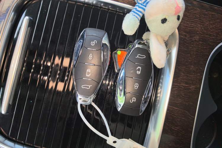 Used Hongqi HQ9 2023 2.0T Smart Connect Flagship Edition Vehicle Key