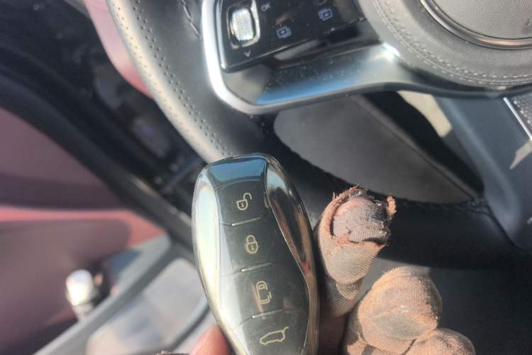 Used Hongqi HQ9 2023 2.0T Smart Connect Flagship Edition Vehicle Key