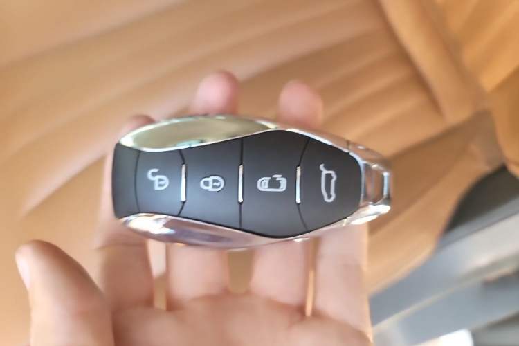 Used Hongqi HQ9 2023 2.0T Smart Connect Flagship Edition Vehicle Key