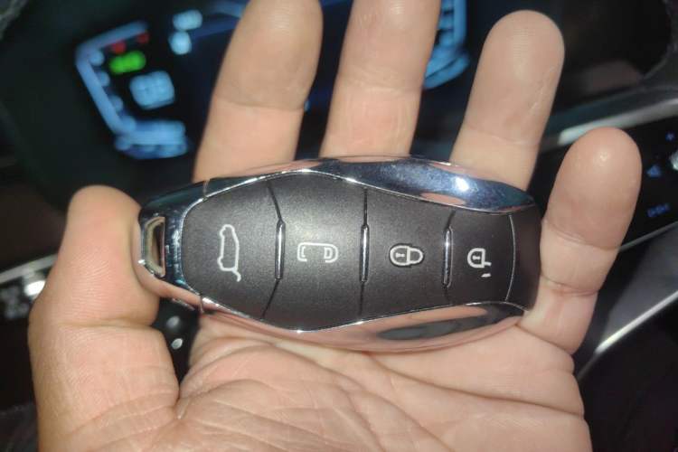 Used Hongqi HQ9 2023 2.0T Smart Connect Flagship Edition Vehicle Key