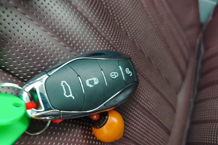 Used Hongqi HQ9 2023 2.0T Smart Connect Flagship Edition Vehicle Key