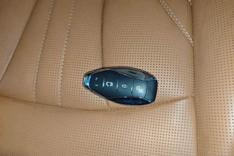 Used Hongqi HQ9 2023 2.0T Smart Connect Flagship Edition Vehicle Key