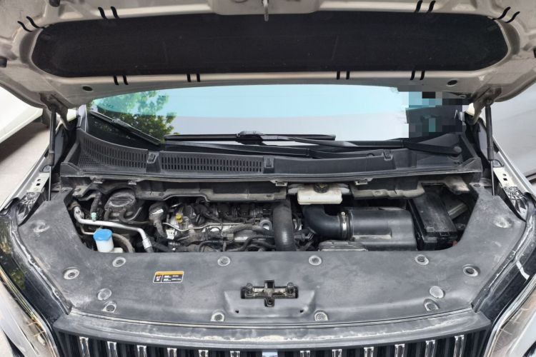 Used Hongqi HQ9 2023 2.0T Smart Connect Flagship Edition Engine Bay