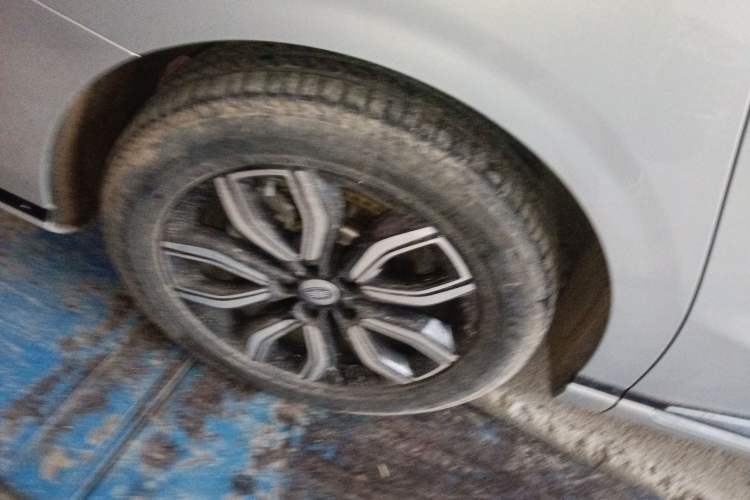 Used Hongqi HQ9 2023 2.0T Smart Connect Flagship Edition Exterior 5