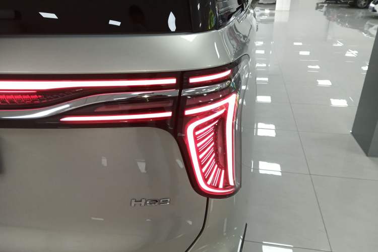 Used Hongqi HQ9 2023 2.0T Smart Connect Flagship Edition Exterior 6