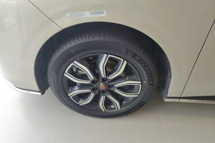 Used Hongqi HQ9 2023 2.0T Smart Connect Flagship Edition Exterior 7