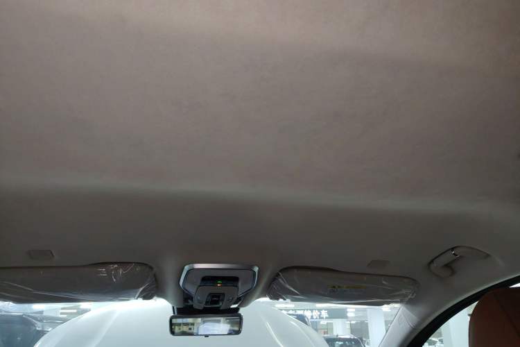Used Hongqi HQ9 2023 2.0T Smart Connect Flagship Edition Headliner