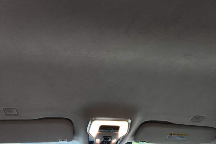 Used Hongqi HQ9 2023 2.0T Smart Connect Flagship Edition Headliner