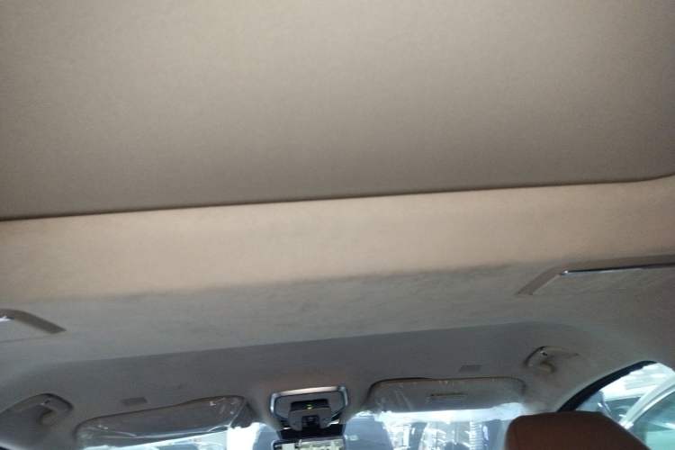 Used Hongqi HQ9 2023 2.0T Smart Connect Flagship Edition Headliner