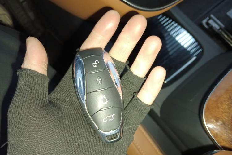 Used Hongqi HQ9 2023 2.0T Smart Connect Flagship Edition Interior 1