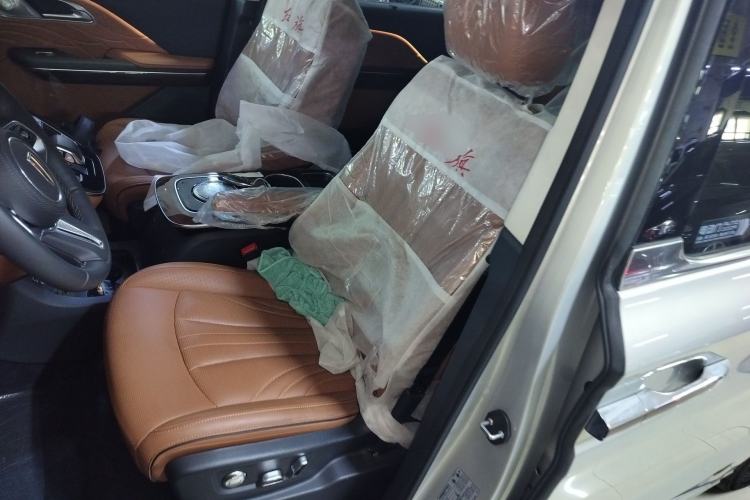Used Hongqi HQ9 2023 2.0T Smart Connect Flagship Edition Left Front Seat
