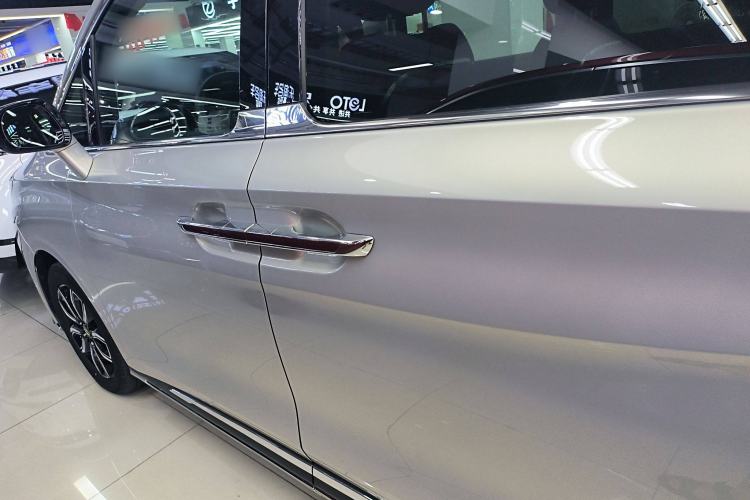 Used Hongqi HQ9 2023 2.0T Smart Connect Flagship Edition Left Side