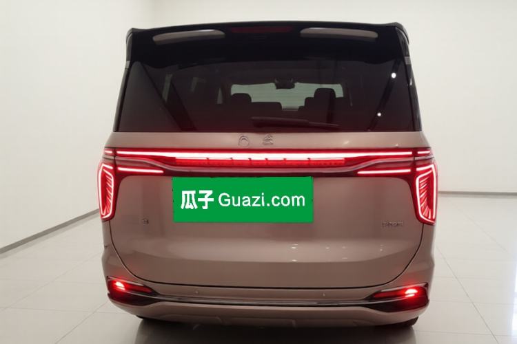 Used Hongqi HQ9 2023 2.0T Smart Connect Flagship Edition Rear
