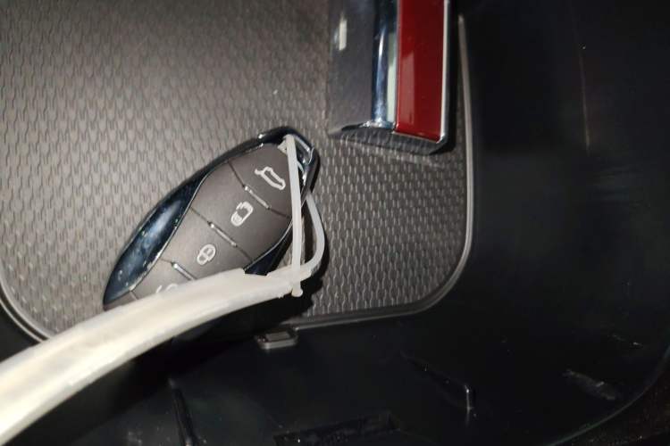 Used Hongqi HQ9 2023 2.0T Smart Connect Flagship Edition Vehicle Key