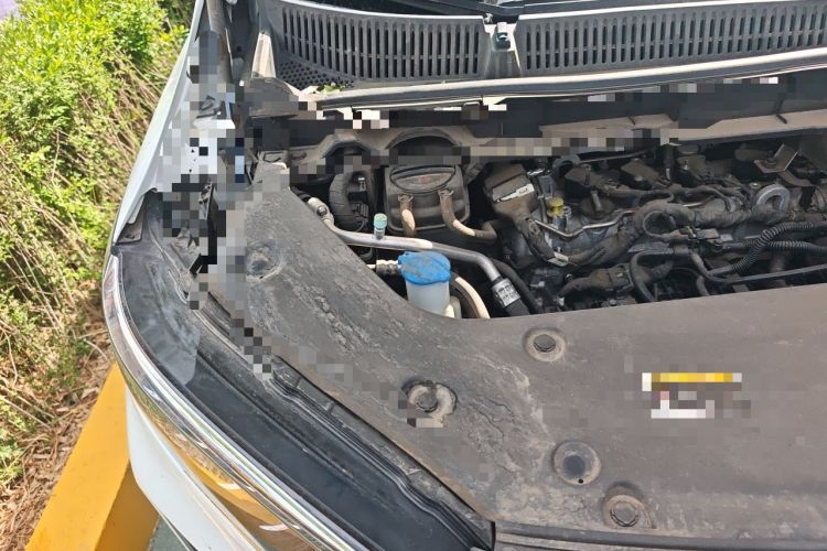 Used Hongqi HQ9 2023 2.0T Smart Connect Flagship Edition Engine Bay Right