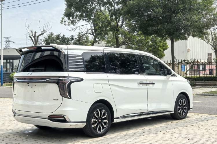 Used Hongqi HQ9 2023 2.0T Smart Connect Flagship Edition Exterior 5