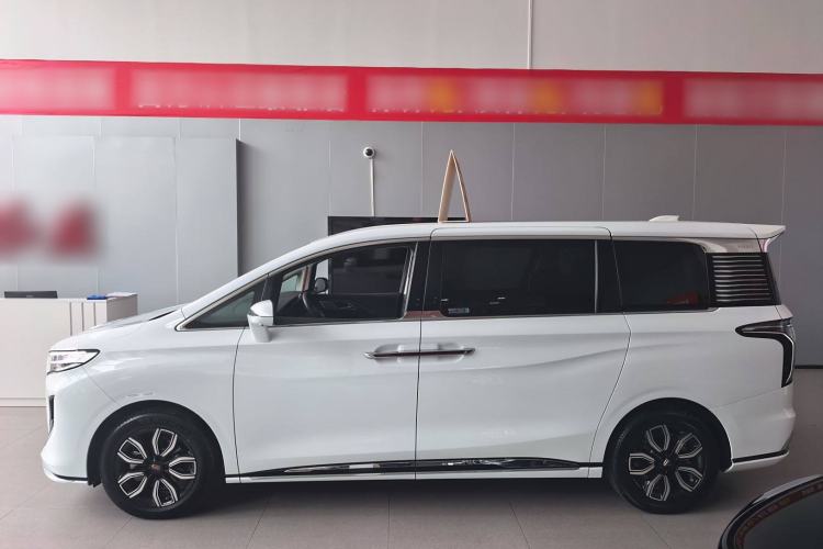 Used Hongqi HQ9 2023 2.0T Smart Connect Flagship Edition Exterior 5