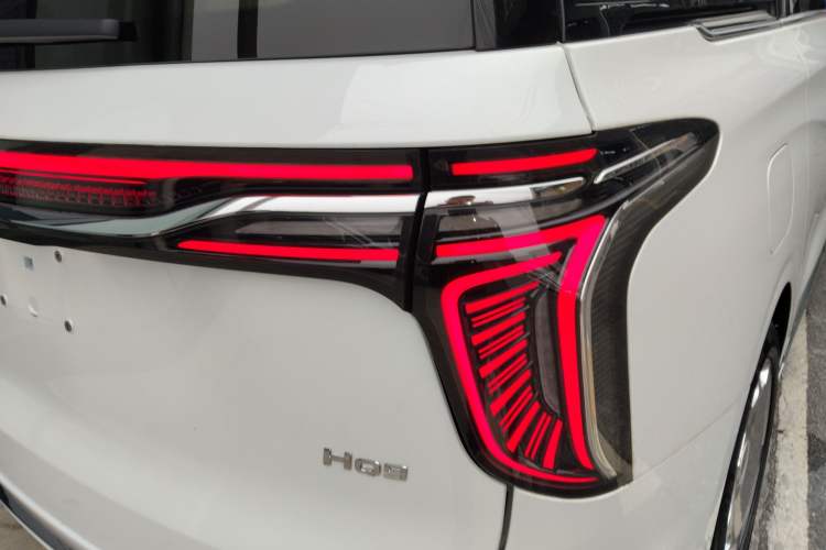 Used Hongqi HQ9 2023 2.0T Smart Connect Flagship Edition Exterior 6