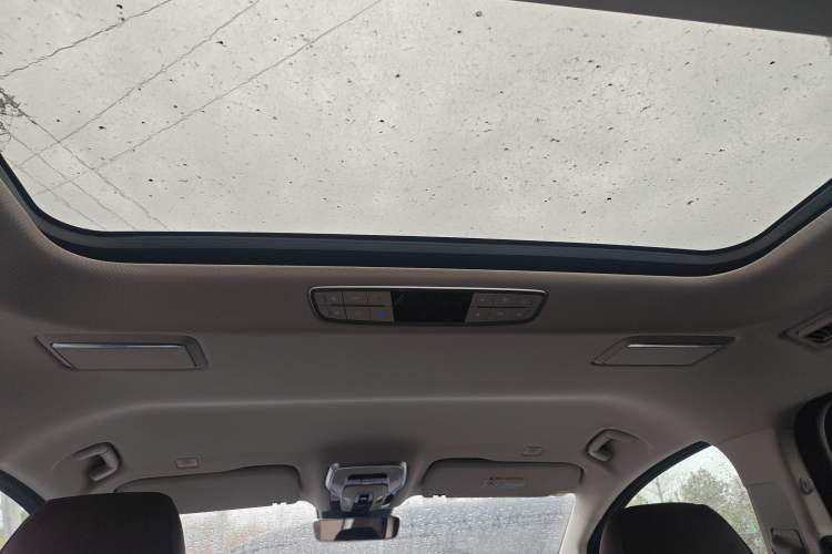 Used Hongqi HQ9 2023 2.0T Smart Connect Flagship Edition Headliner