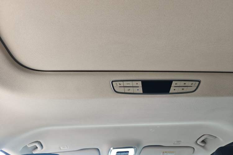 Used Hongqi HQ9 2023 2.0T Smart Connect Flagship Edition Headliner