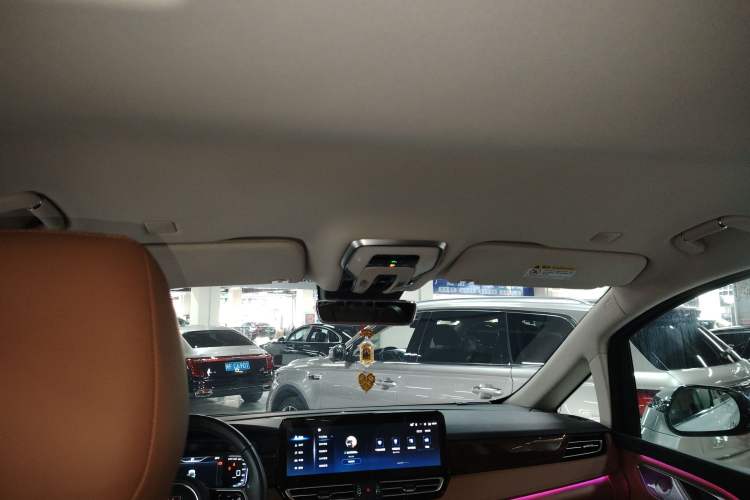 Used Hongqi HQ9 2023 2.0T Smart Connect Flagship Edition Headliner
