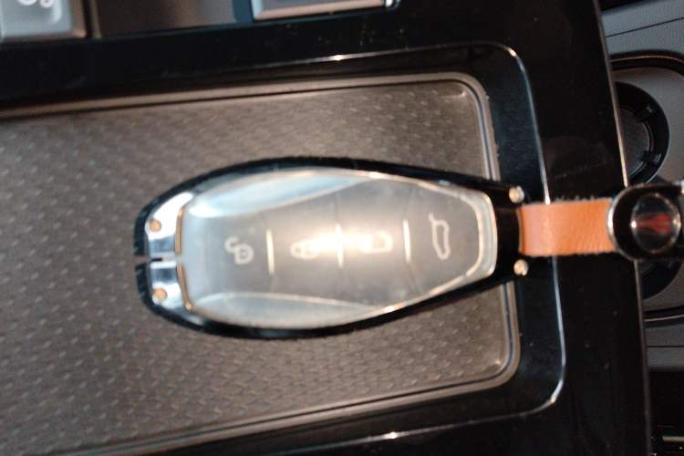 Used Hongqi HQ9 2023 2.0T Smart Connect Flagship Edition Interior 1