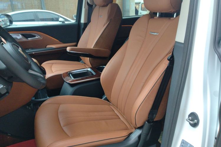 Used Hongqi HQ9 2023 2.0T Smart Connect Flagship Edition Left Front Seat