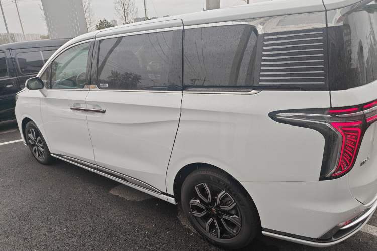 Used Hongqi HQ9 2023 2.0T Smart Connect Flagship Edition Left Side