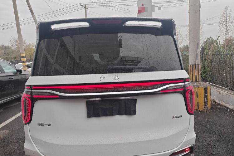 Used Hongqi HQ9 2023 2.0T Smart Connect Flagship Edition Rear
