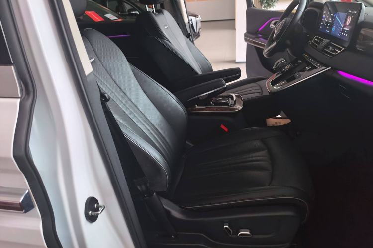 Used Hongqi HQ9 2023 2.0T Smart Connect Flagship Edition Right Front Seat