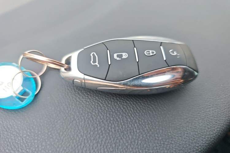 Used Hongqi HQ9 2023 2.0T Smart Connect Flagship Edition Vehicle Key