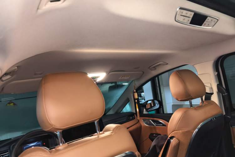 Used Hongqi HQ9 2023 2.0T Smart Connect Flagship Edition Headliner