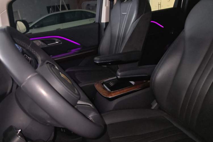 Used Hongqi HQ9 2023 2.0T Smart Connect Flagship Edition Left Front Seat