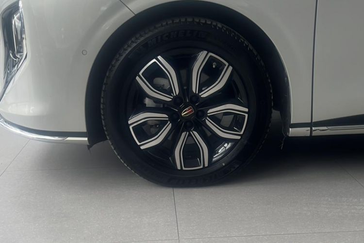 Used Hongqi HQ9 2023 2.0T Smart Connect Flagship Edition Right Front Seat
