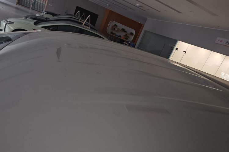 Used Hongqi HQ9 2023 2.0T Smart Connect Flagship Edition Roof