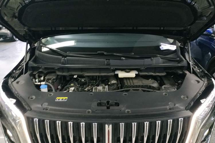 Used Hongqi HQ9 2024 2.0T Business Edition Engine Bay