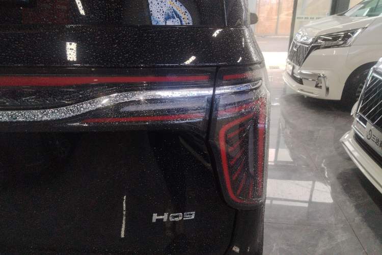 Used Hongqi HQ9 2024 2.0T Business Edition Exterior 6