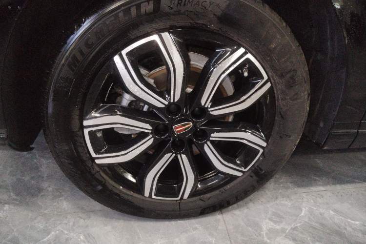 Used Hongqi HQ9 2024 2.0T Business Edition Exterior 8
