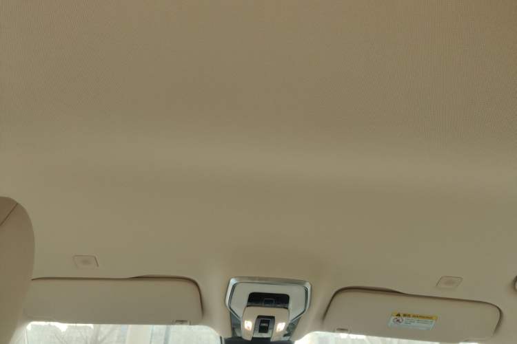 Used Hongqi HQ9 2024 2.0T Business Edition Headliner