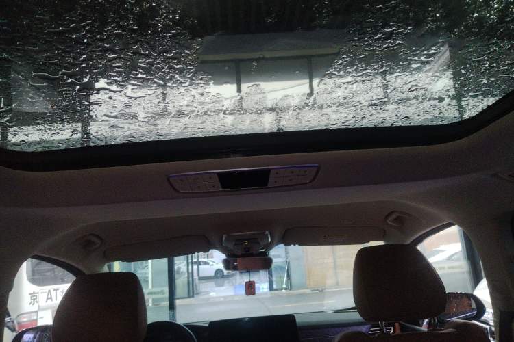 Used Hongqi HQ9 2024 2.0T Business Edition Headliner