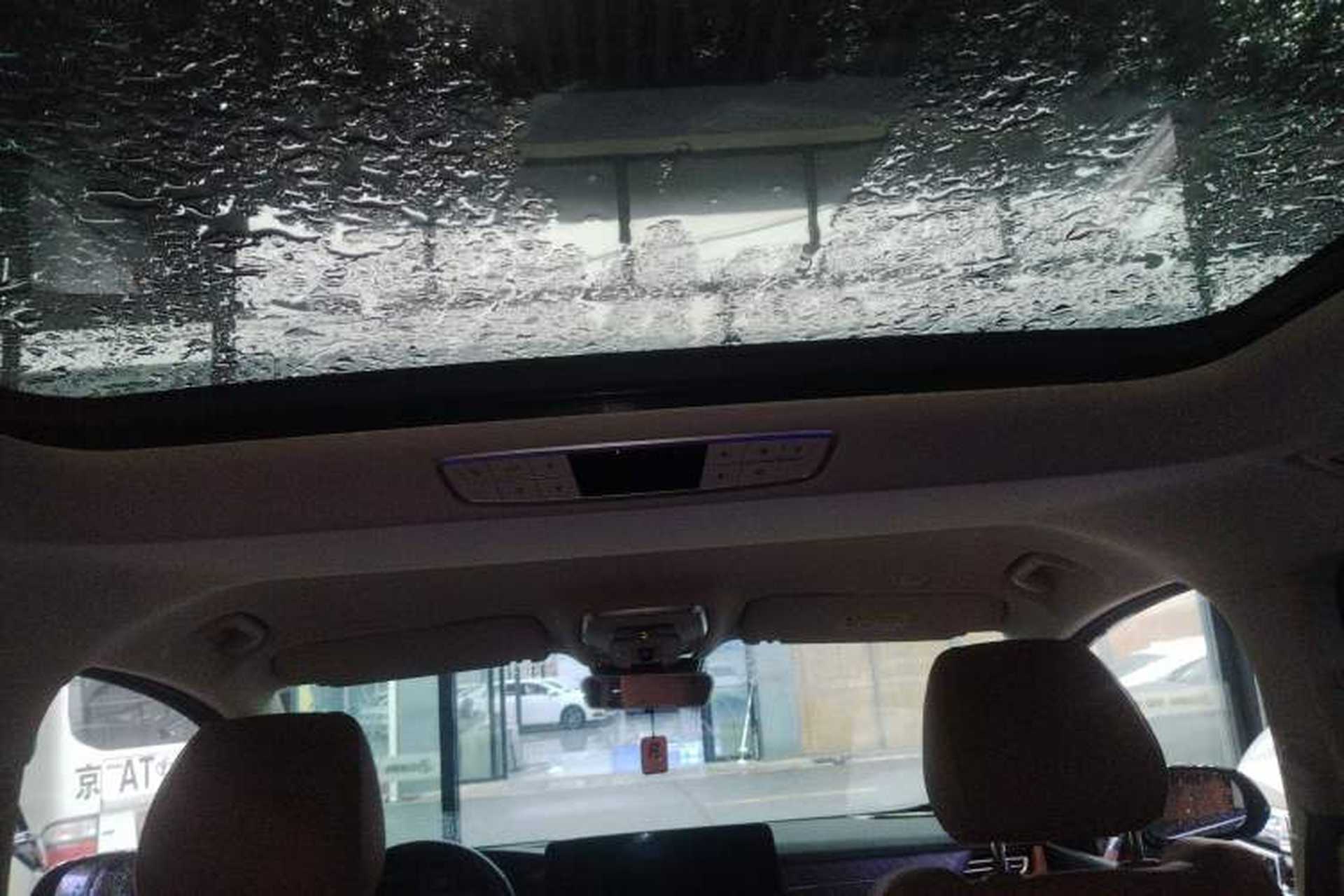 Used Hongqi HQ9 2024 2.0T Business Edition Headliner
