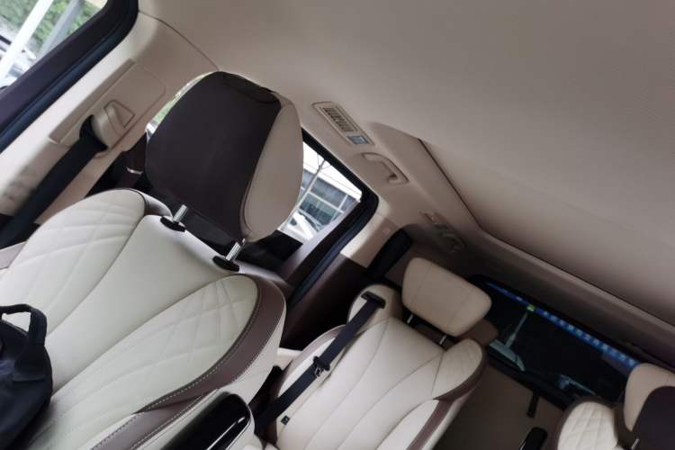 Used Hongqi HQ9 2024 2.0T Business Edition Headliner