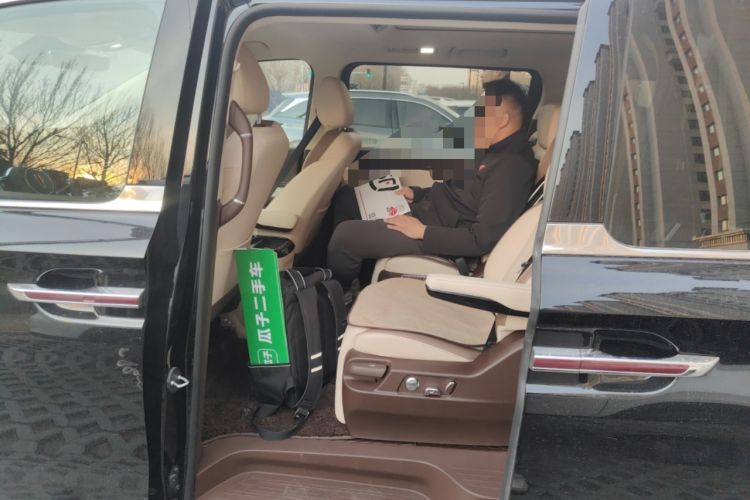 Used Hongqi HQ9 2024 2.0T Business Edition Left Rear Seat