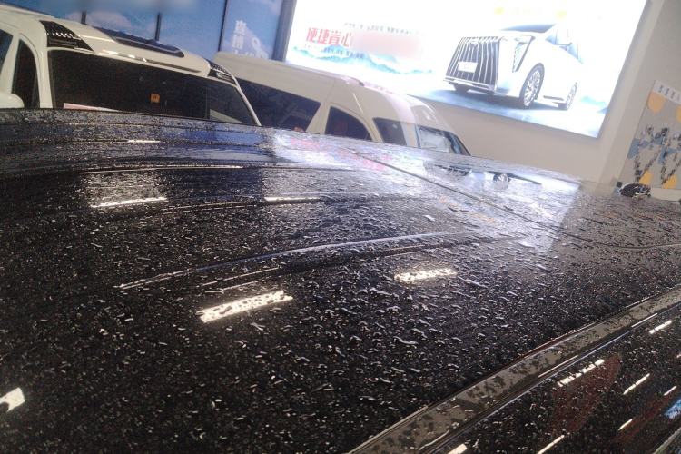 Used Hongqi HQ9 2024 2.0T Business Edition Roof