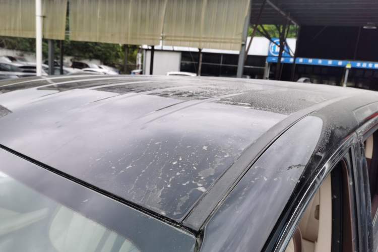 Used Hongqi HQ9 2024 2.0T Business Edition Roof