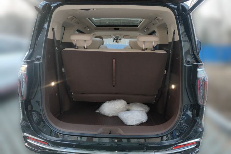 Used Hongqi HQ9 2024 2.0T Business Edition Trunk