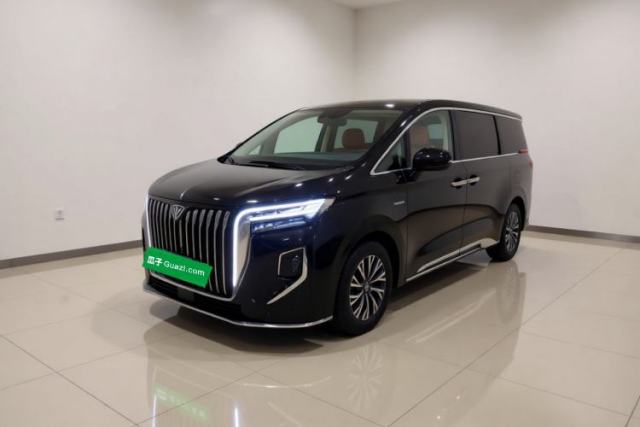 Used Hongqi HQ9 2024 2.0T Flagship Edition