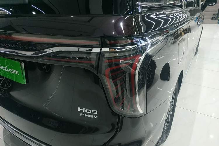 Used Hongqi HQ9 2024 2.0T Luxury Edition Exterior 6
