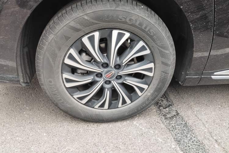 Used Hongqi HQ9 2024 2.0T Luxury Edition Exterior 8